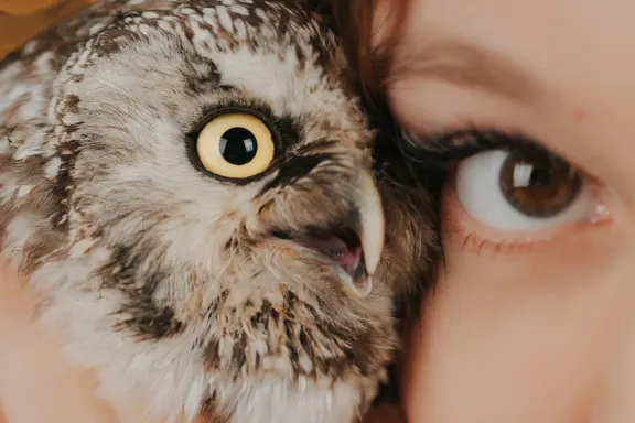 Casino Welcome Bingo Assistance